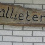 vakantiehuis huren drenthe norg pallieter