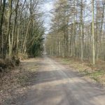 vakantiehuis huren kop van drenthe norg